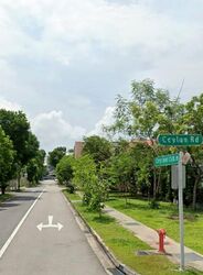 Lorong 101 Changi (D15), Terrace #498162411